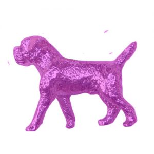 Border Terrier Jewelry for Dog Lovers