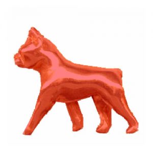 Boston Terrier Jewelry for Dog Lovers