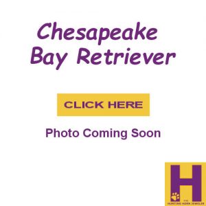 Chesapeake Bay Retriever Jewelry for Dog Lovers