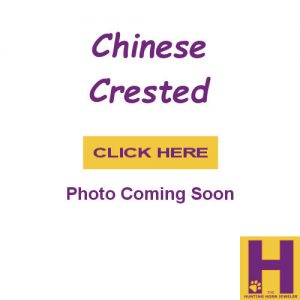 Chinese Crested Jewelry in Sterling and 14K Gold