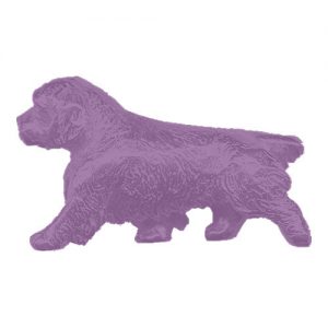 Clumber Spaniel Jewelry for Dog Lovers