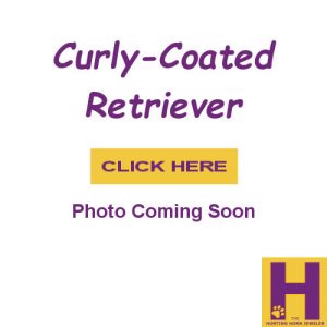 Curly Coated Retriever Gifts in Sterling Silver and 14K Gold