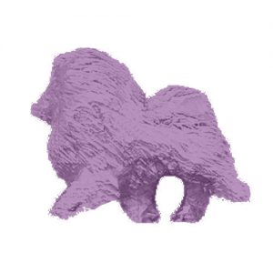Keeshond Jewelry for Dog Lovers