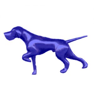 Pointer Jewelry for Dog Lovers