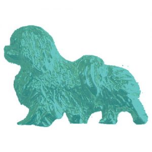 Tibetan Spaniel Gifts in Sterling Silver and 14K Gold