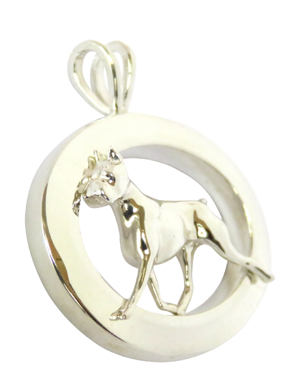14K Gold or Sterling Silver Boxer in Glossy Narrow Oval - Front View