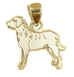 Chesapeake Bay Retriever Charm or Pendant in Sterling or 14K Gold