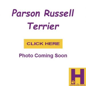 Parson Russell Terrier Jewelry Gifts in Sterling Silver and 14K Gold