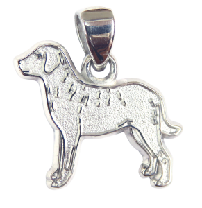 Chesapeake Bay Retriever Charm or Pendant in Sterling or 14K Gold