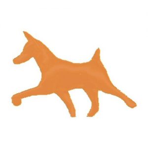 Miniature Pinscher