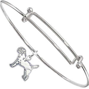 Sterling Silver Border Terrier Charm on Bangle Bracelet