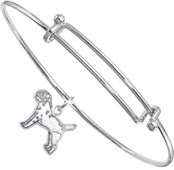 Sterling Silver Border Terrier Charm on Bangle Bracelet