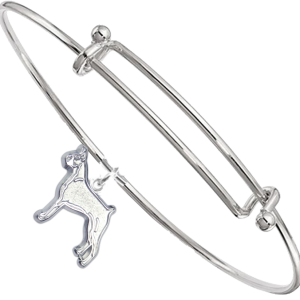 Sterling Silver Boxer Charm on Bangle Bracelet