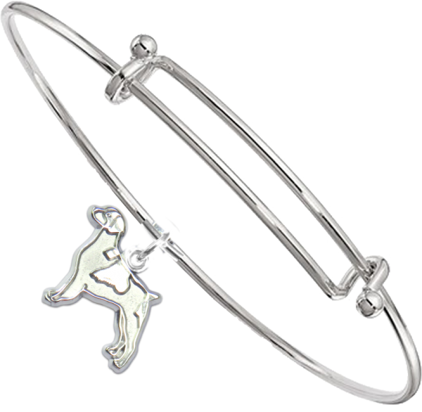 Sterling Silver Brittany Charm on Bangle Bracelet