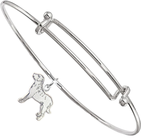 Sterling Silver Chesapeake Bay Retriever Charm on Bangle Bracelet