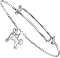 Sterling Silver Chinese Crested Charm on Bangle Bracelet