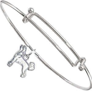 Sterling Silver Chinese Crested Charm on Bangle Bracelet